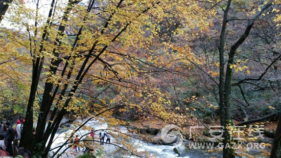 �㰲�˱����ճ��ѹ���ɽ�Լ��Ρ�����;������ʳ(��ͼ)