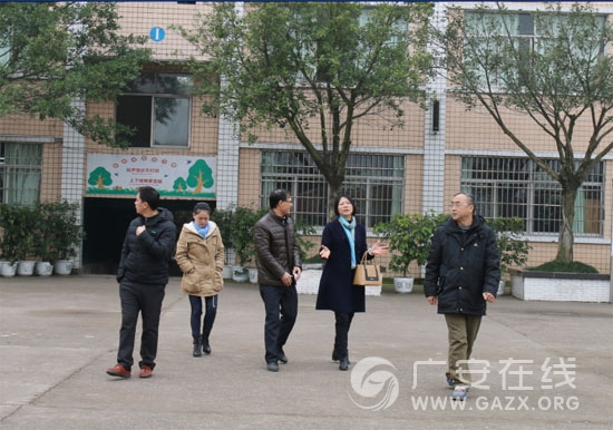 ����������ʯ��Сѧ����ָ��������ͼ��