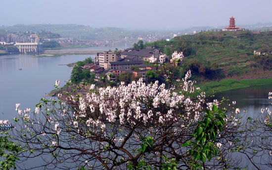 �����߱ʣ�ͼ��