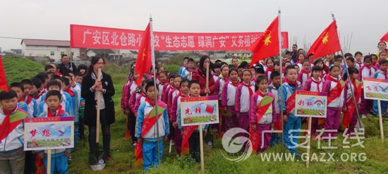 �㰲������·Сѧ��չ����̬־Ը�q����㰲������ֲ�����ͼ��