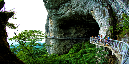 ���ɽ����ջ��