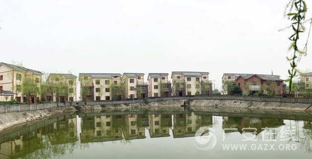 岩口新村:不出远门可赏花