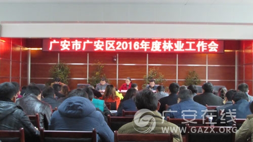 �㰲���ٿ�2016����ҵ�����ᣨͼ��