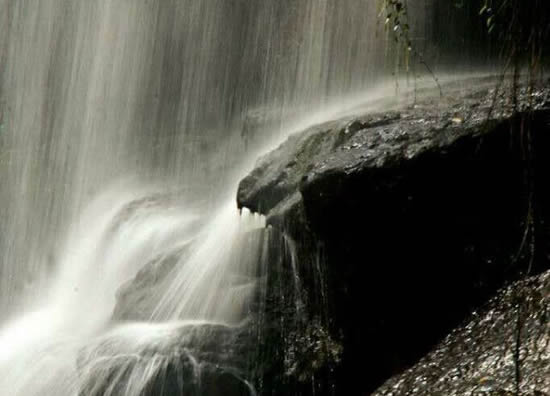 ��ˮ���ٲ�