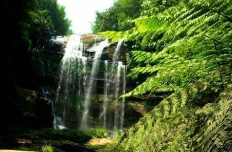 ��ˮ���ٲ�