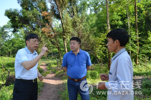 建行广安分行行长及纪委书记扶贫调研(图)