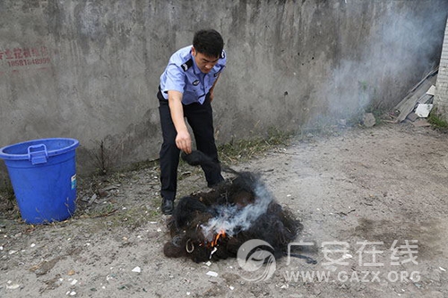 广安市森林公安局前锋区分局依法销毁鸟网(图)