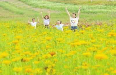 武胜:蝶舞花海 游人觅香(图)