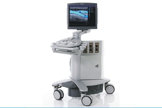 �¹�������������ά�ʳ�