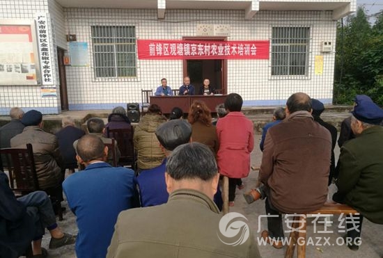 观塘镇京东村大力开展农业技术培训