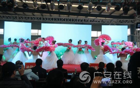 前锋区地税局举办财经税务职工迎新文艺联欢会