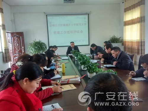 梭罗小学召开党支部书记党建工作述职评议会