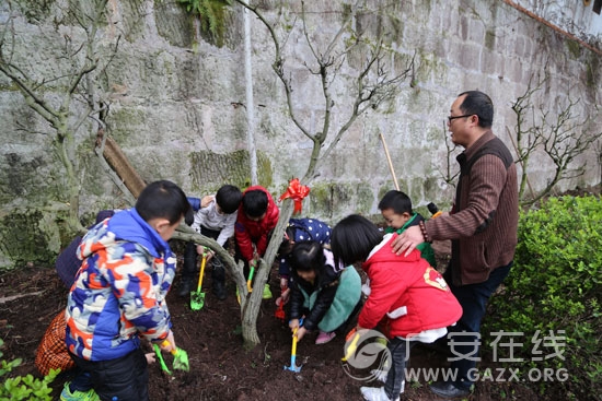 �㰲�е�һ�׶�԰��չ����һ�ù��� ��һĨ���⡱ֲ���ڻ