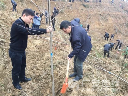 ������ˮ�����֯�μ�ȫ������ֲ�����ͼ��