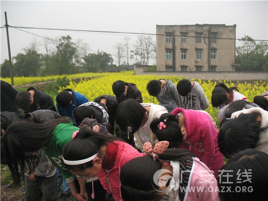 飞龙镇初级中学开展“弘扬龙文化、传承龙精神,砺志我先行”活动(图)