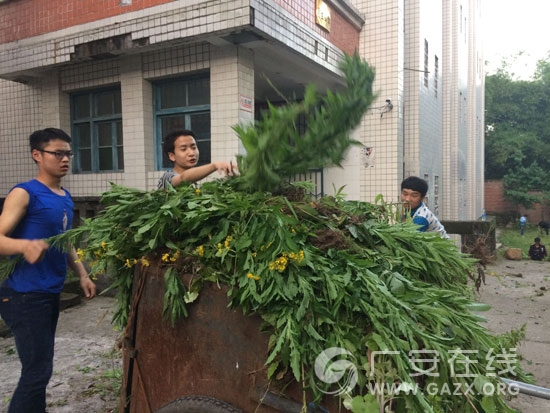 ������ѧ��ί��֯��Ա�����������У԰��ͼ��