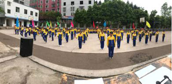 �����ض���Сѧ��չ2017�괺������ٱ������ͼ��