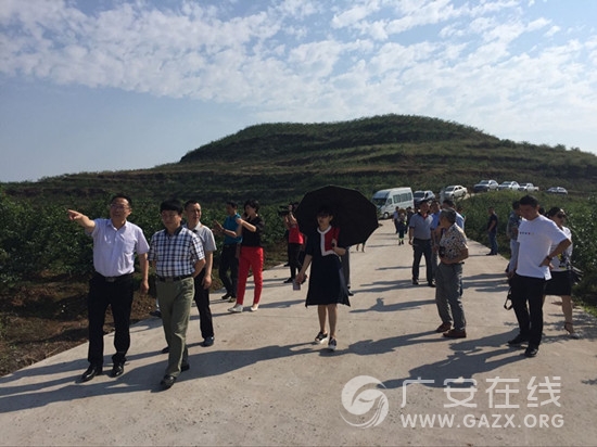 �㰲��ũ����˾�������������̸ ���Ƹɹ���ҵ��չ��ͼ��