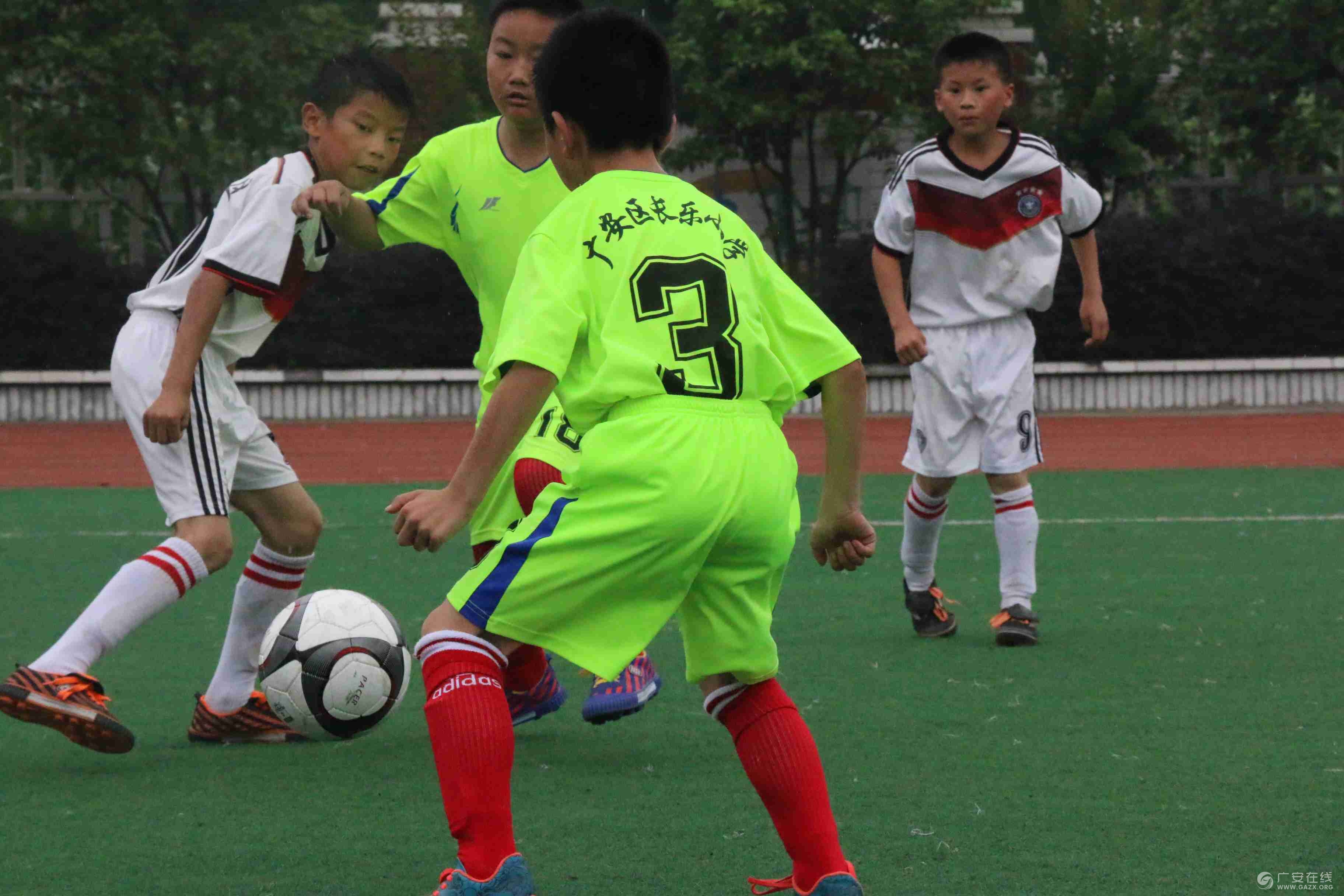 ǰ��������Сѧ��㰲������Сѧ��չ������������ͼ��