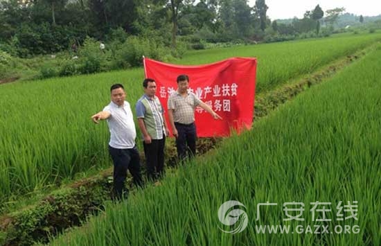 ������ר�ҡ��������ũҵ��ҵ��ƶ��ͼ��