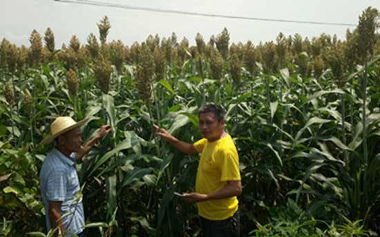 �����ش�����չ������Ƹ�����ͼ��