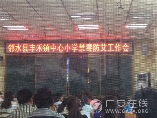 邻水县丰禾镇中心小学禁毒防艾工作会(图)