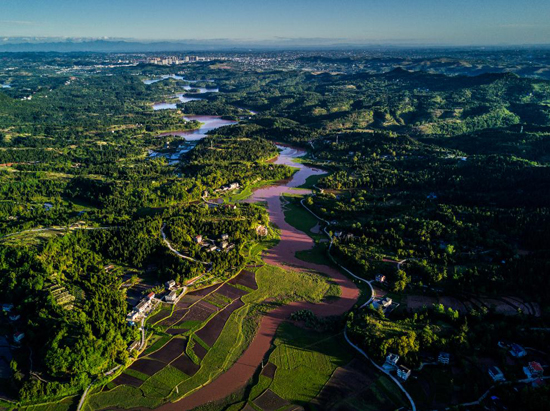 最美田园风光 (唐云峰 摄)