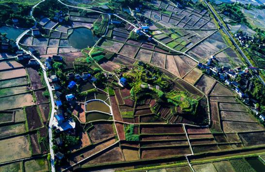 田园幻彩 (唐云峰 摄)