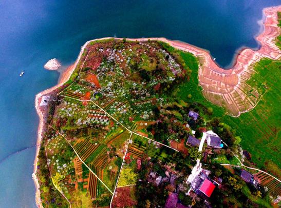 醉美天池春意浓 (郑继明 摄)