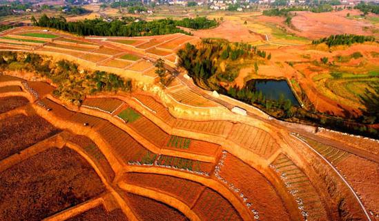 产业富民 (李春华 摄)