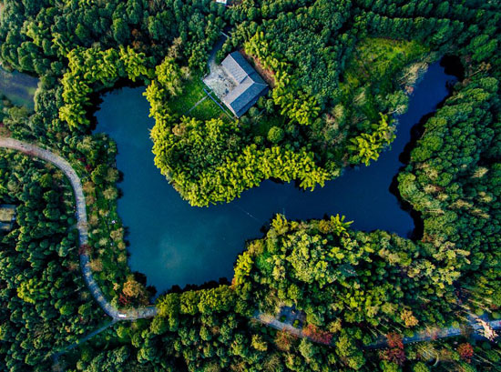 最美乡村景色(杨明军 摄)