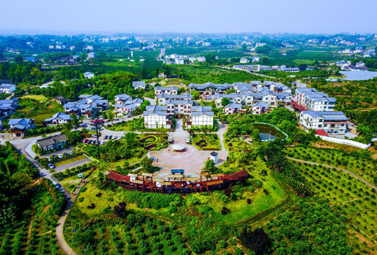 农村新象(杨明军 摄)