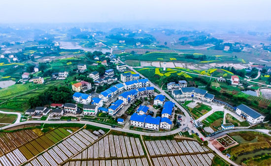 前锋代市镇岳庙村 (杨明军 摄)