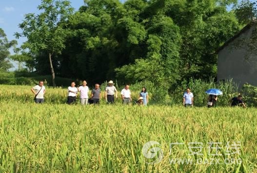 �㰲��ũҵ�ּ���������ӽ�ˮ���������������ͼ��