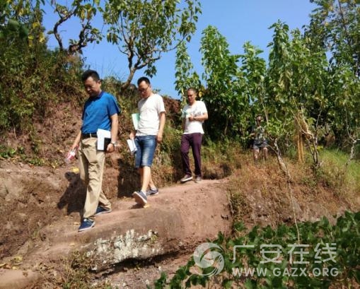 酷暑挡不住广安经开区社保人的工作热情(图)