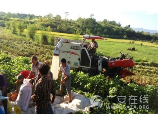 �㰲������������æ���գ�ͼ��