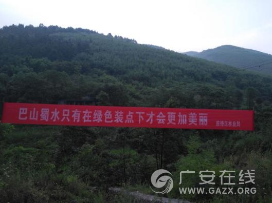 前锋区林业局:认真做好迎接中央环境保护督察氛围营造工作(图)