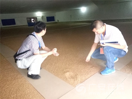 前锋区粮食局开展粮食储存安全检查(图)