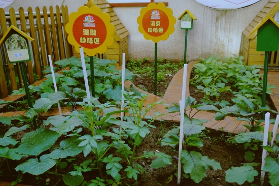 �㰲����·���׶�԰�����������裨3��